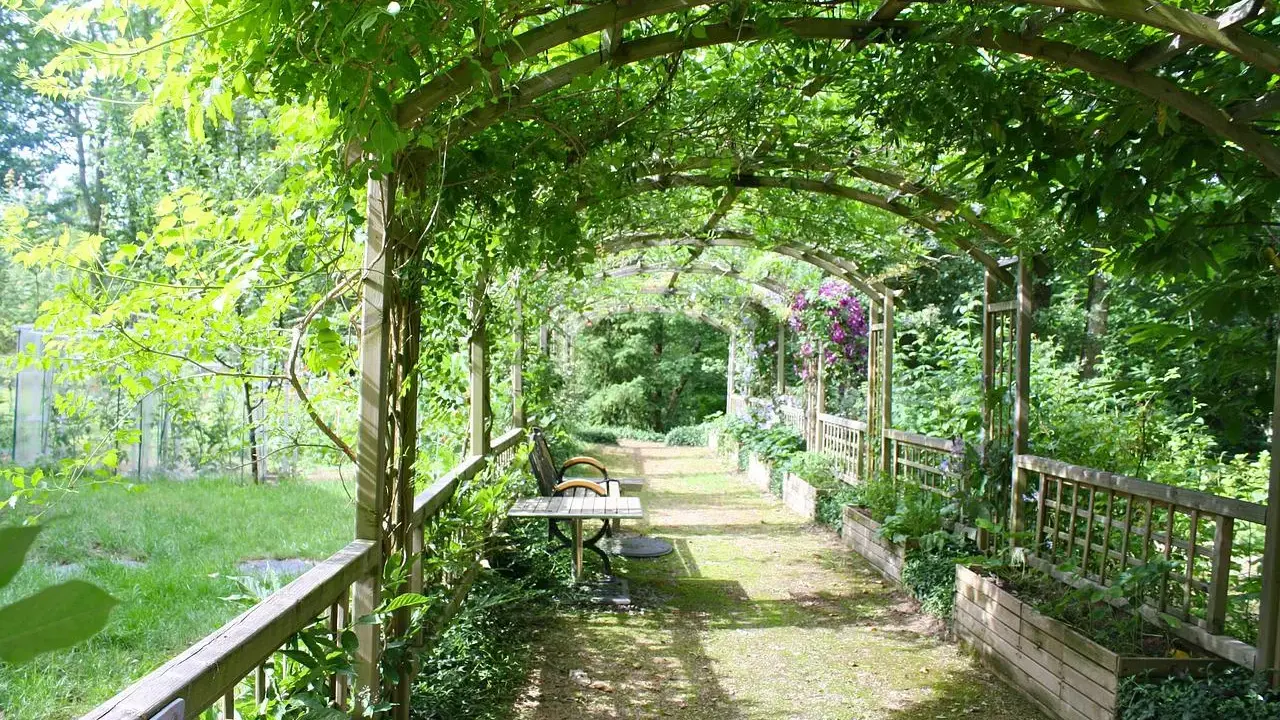 Drewniana pergola porośnięta zielenią, z ławką i stołem, prowadząca przez ogród.