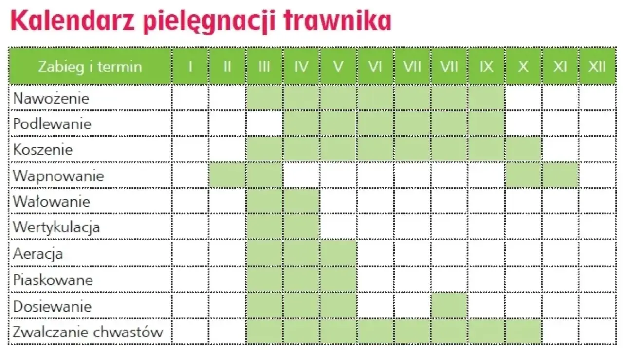 Kalendarz pielęgnacji trawnika: nawożenie od marca do października, podlewanie od kwietnia do września, koszenie od kwietnia do października.