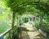Drewniana pergola porośnięta zielenią, z ławką i stołem, prowadząca przez ogród.