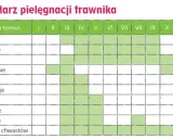 Kalendarz pielęgnacji trawnika: nawożenie od marca do października, podlewanie od kwietnia do września, koszenie od kwietnia do października.