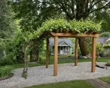 Drewniana pergola porośnięta winoroślą, idealna inspiracja, jak zrobić pergolę. W tle mały domek i zielony ogród.