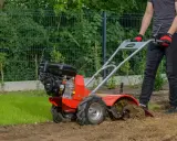 Czerwona glebogryzarka z silnikiem pracuje, spulchniając ziemię w ogrodzie.