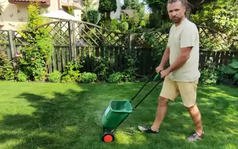 Mężczyzna z dredami używa zielonego siewnika do nawozu na trawniku. Idealny siewnik do nawozu na trawnik ułatwia pielęgnację ogrodu.