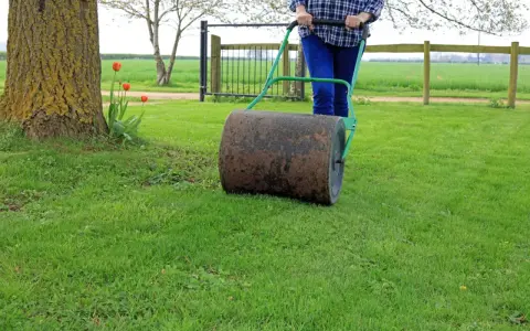 Osoba pcha walec ogrodowy, który służy do wyrównywania trawnika i dociskania darni.