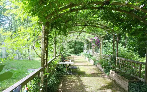 Drewniana pergola porośnięta zielenią, z ławką i stołem, prowadząca przez ogród.