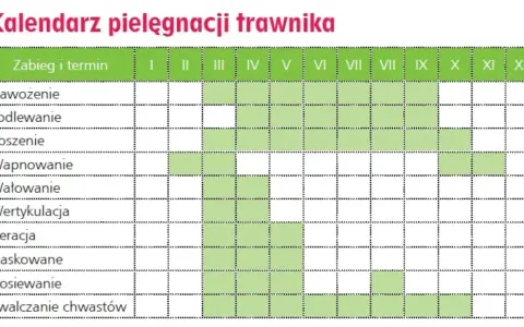 Kalendarz pielęgnacji trawnika: nawożenie od marca do października, podlewanie od kwietnia do września, koszenie od kwietnia do października.