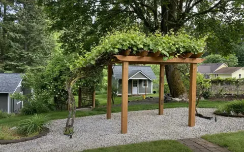 Drewniana pergola porośnięta winoroślą, idealna inspiracja, jak zrobić pergolę. W tle mały domek i zielony ogród.