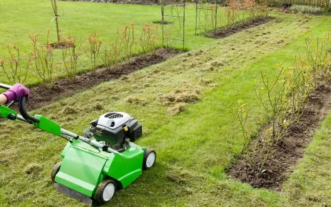 Wertykulacja trawnika kiedyś była trudna, dziś zielony wertykulator ułatwia pracę.