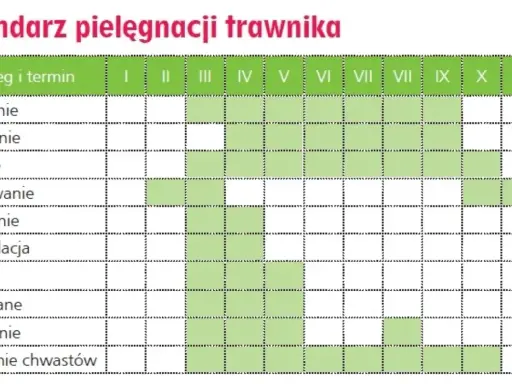 Kalendarz pielęgnacji trawnika: nawożenie od marca do października, podlewanie od kwietnia do września, koszenie od kwietnia do października.
