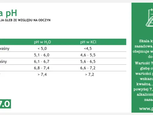 Tabela pH gleby: bardzo kwaśna (<5,0), kwaśna (5,1-6,0), lekko kwaśna (6,1-6,7). Rośliny nie lubiące kwaśnej gleby wymagają innych warunków.