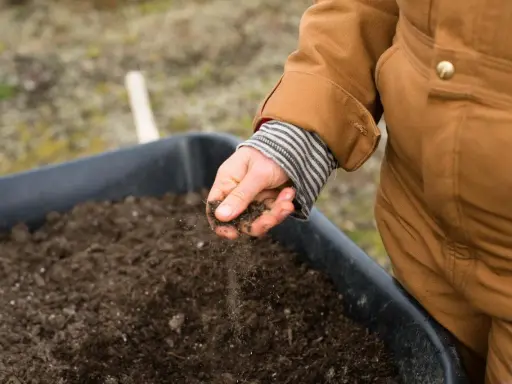 Dłoń w brązowej kurtce przesypuje ziemię, by sprawdzić jej kwasowość.