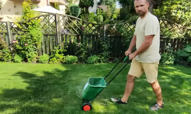 Mężczyzna z dredami używa zielonego siewnika do nawozu na trawniku. Idealny siewnik do nawozu na trawnik ułatwia pielęgnację ogrodu.