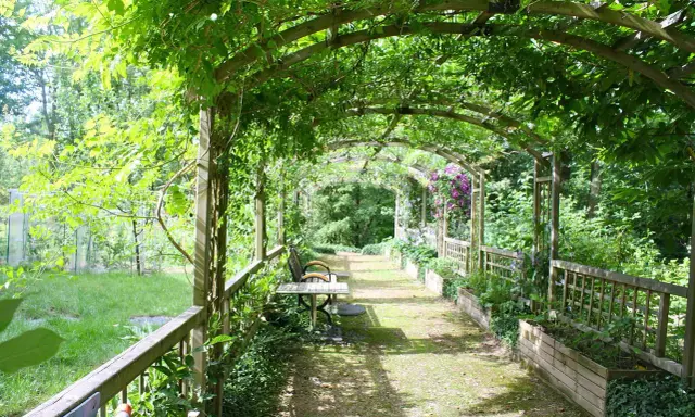 Drewniana pergola porośnięta zielenią, z ławką i stołem, prowadząca przez ogród.