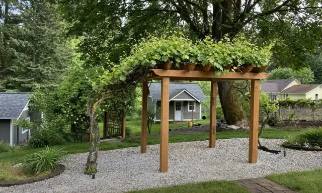 Drewniana pergola porośnięta winoroślą, idealna inspiracja, jak zrobić pergolę. W tle mały domek i zielony ogród.