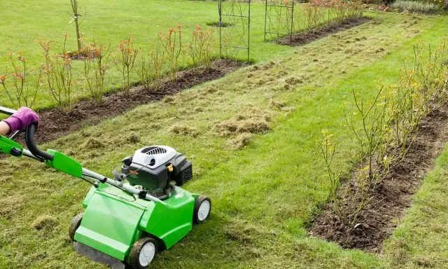 Wertykulacja trawnika kiedyś była trudna, dziś zielony wertykulator ułatwia pracę.