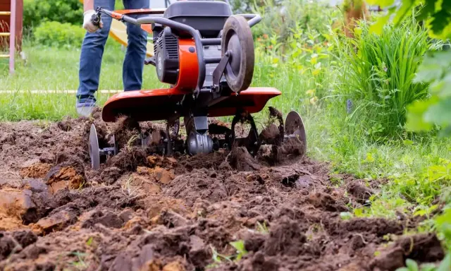 Glebogryzarka spulchnia ziemię, przygotowując ją do sadzenia. To narzędzie ułatwia pracę w ogrodzie.
