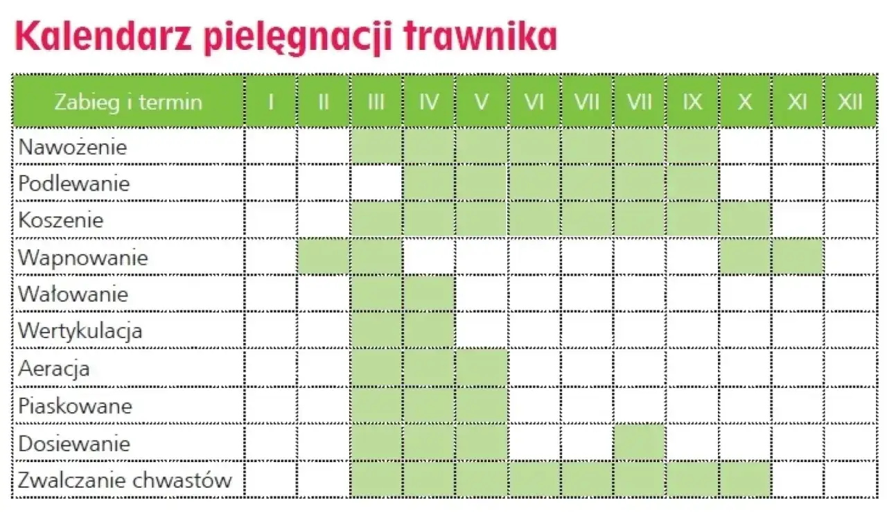 Kalendarz pielęgnacji trawnika: nawożenie od marca do października, podlewanie od kwietnia do września, koszenie od kwietnia do października.