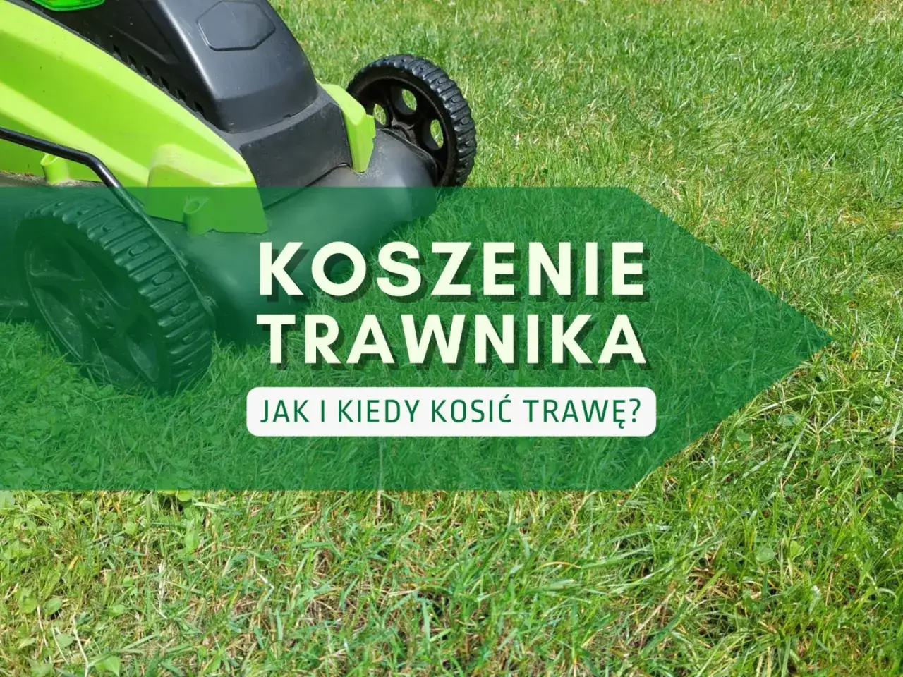 Zielona kosiarka na trawniku. Tekst: